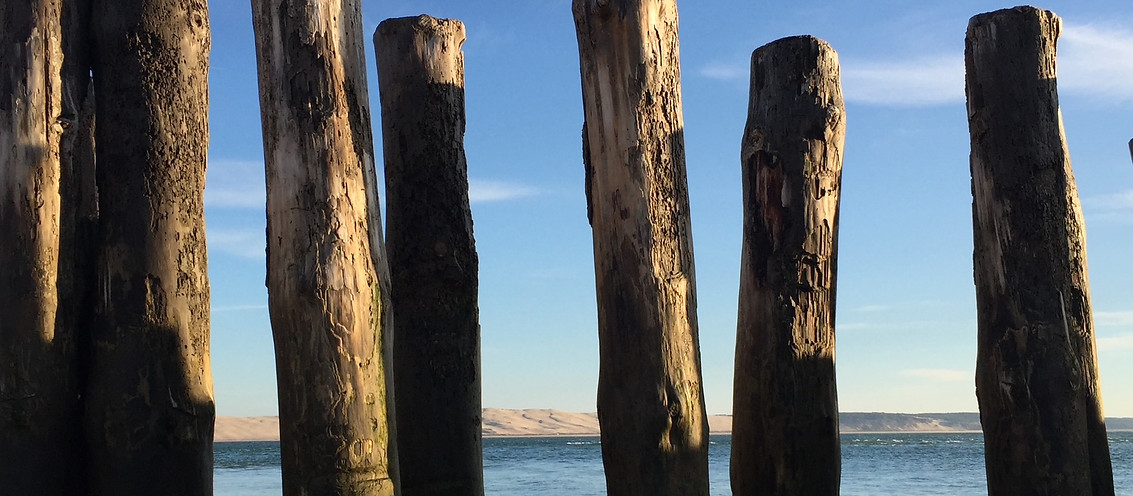 vue de la dune du Pyla au travers de piquets en bois