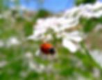 P1090064_edited.jpg