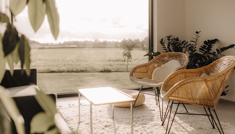 230929 - Paradocs-22_edited.jpg