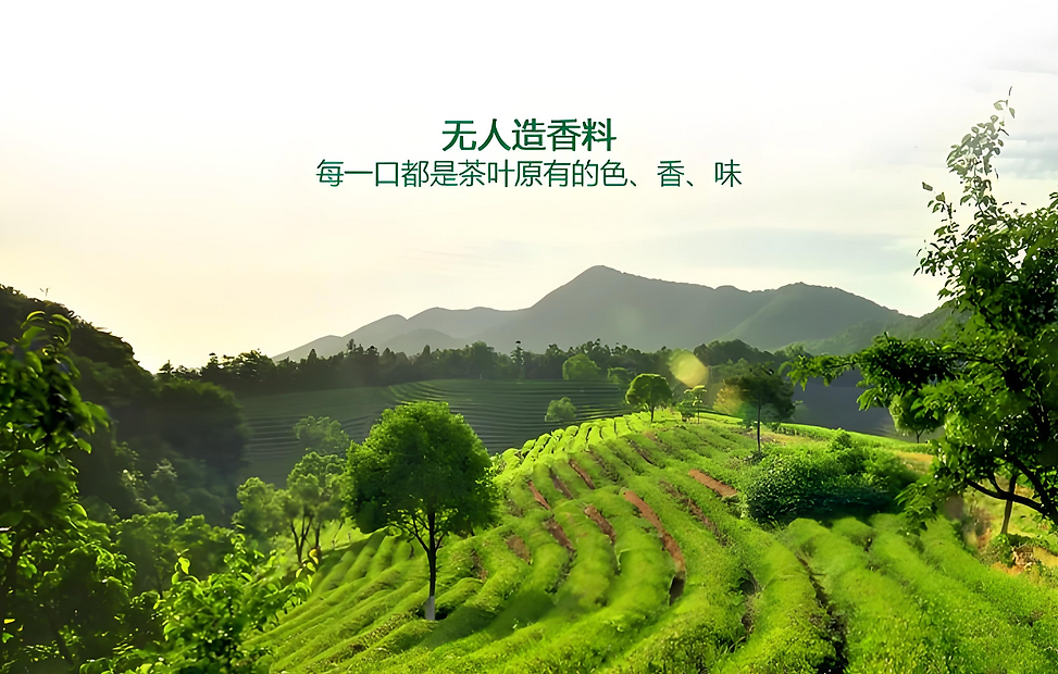 Screenshot 2025-10-19 at 5.38.39 PM.png