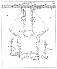 canaries-delagarde-dupre-42.webp