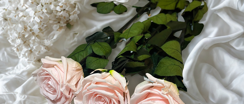 Pink Rose - Preserved