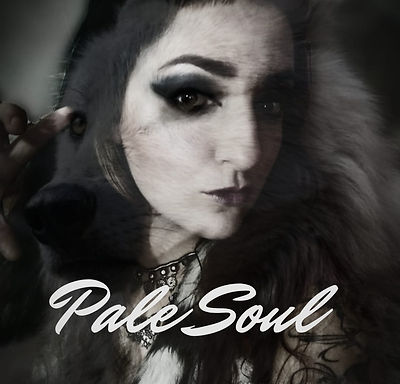 REVENGIN: "Pale Soul" teaser for a new song released!