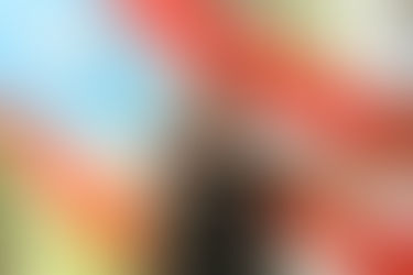 LASO (Leading & Serving Others) October Spotlight!