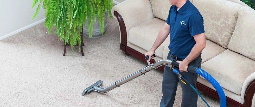 Professional carpet cleaning services Singapore
