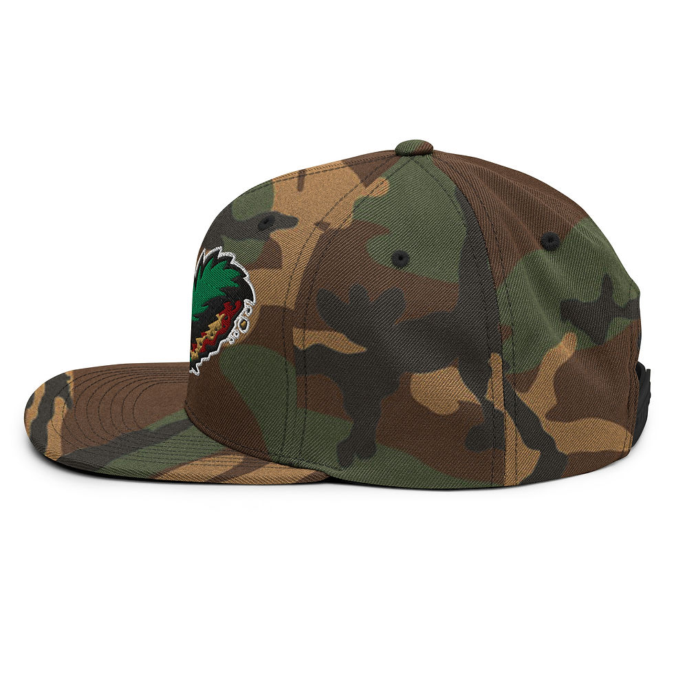 Thumbnail: "Bad Lies Club" Beaver Pelt Snapback Hat