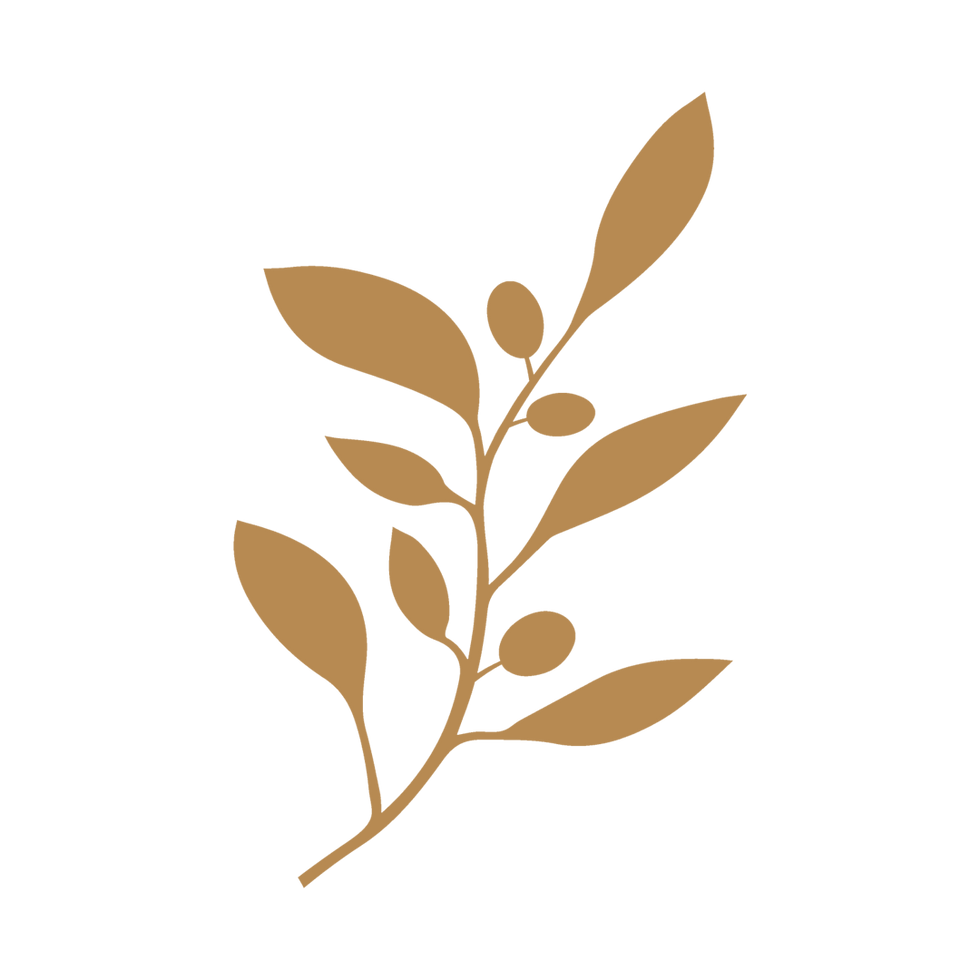 Olive Branch.png