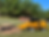 SP6016 wheeled stump grinder