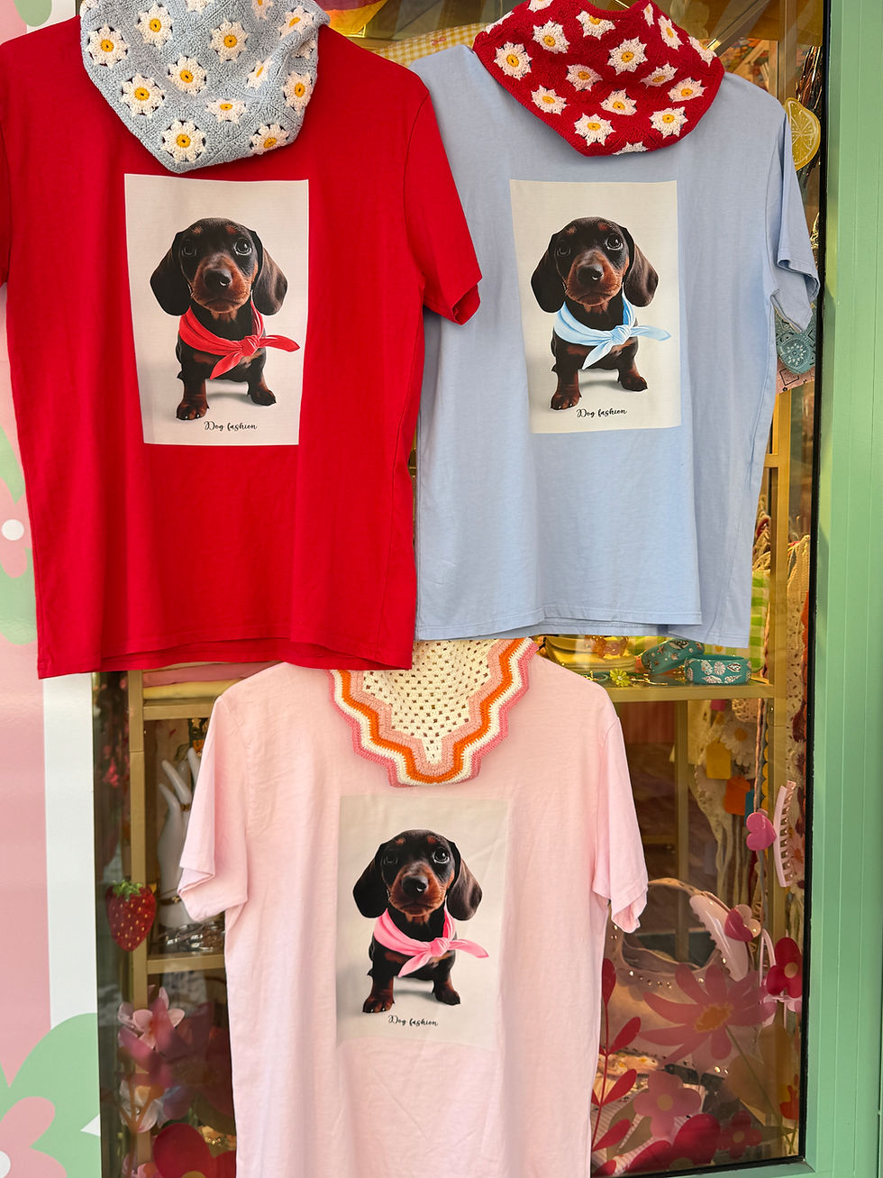 Miniatura: T.shirt teckel 🍒