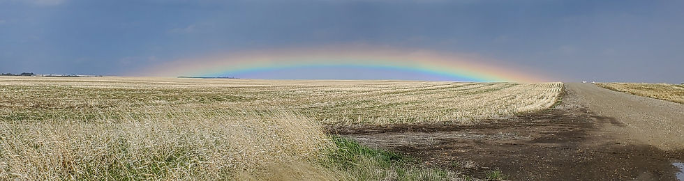20210526_170516.jpg