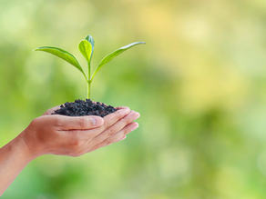 Stop Resenting the Growing Pains