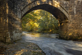 Autumn in Dartmoor