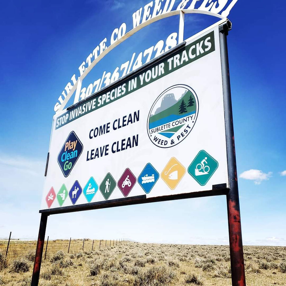 Thumbnail: metal signs