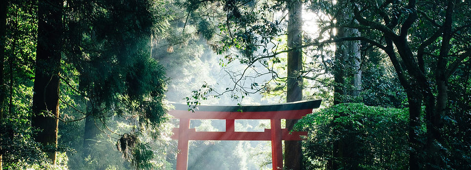 syuhei-inoue-kaoHI0iHJPM-unsplash-2.jpg