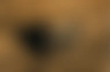 Fujifilm X-HF1 (“X half”) – A Compact Throwback Camera for Modern Creators