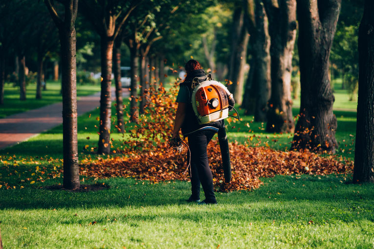 A person blowing away autumn leaves from a green, manicured lawn