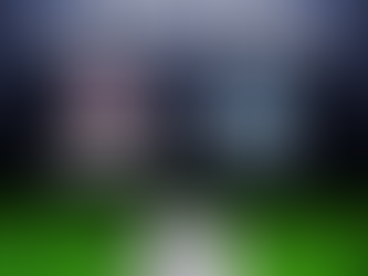 Seasonal Year Age Group Formation Update