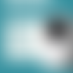 Pet Cameras + Professional Pet Sitting in Arlington, VA