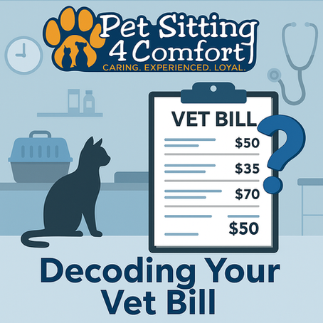 Decoding Your Vet Bill: A Practical Guide for Informed Pet Parents