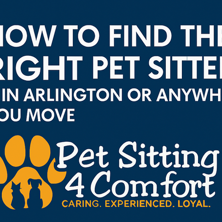 How to Find the Right Pet Sitter — In Arlington or Anywhere You Move