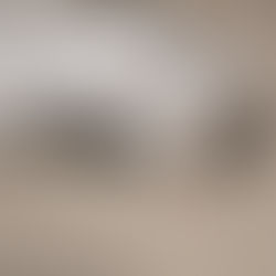 Preparing Your Cat for the Vet