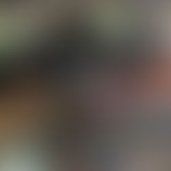 A festança no Arraial Auxiliadora Virtual