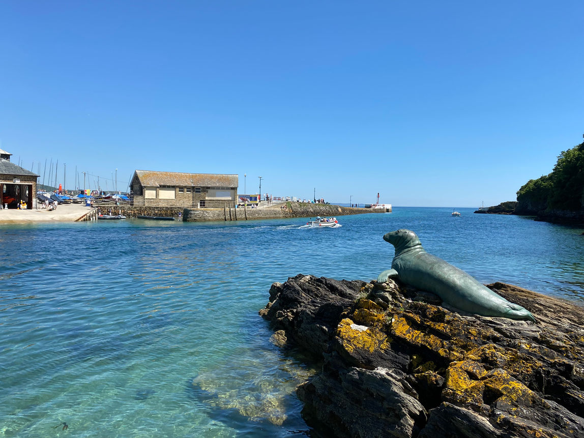 Looe harbour with statue of Nelson the seal.