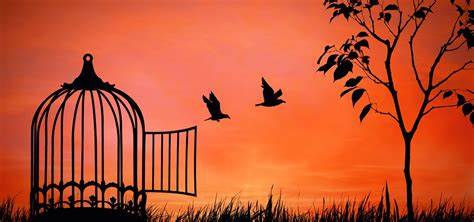 Woke Up This Morning With My Mind Stayed On Freedom