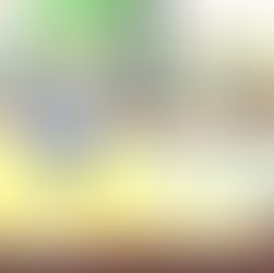 27. I Scored During a Professional Basketball Game