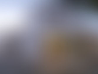 Já abriu o TASCO DA ILDA