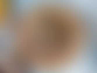 Receita - Biscoitos de Bolota da Chef Madalena Dias