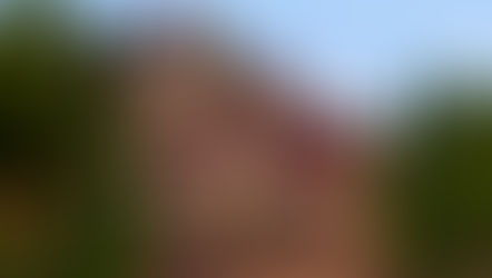 Glemmerbrook Brooks Bridge Borough No CC