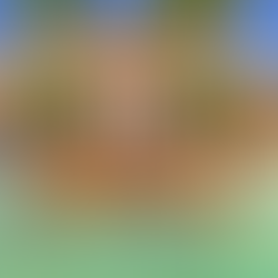 Sulani Small Bungalow No CC