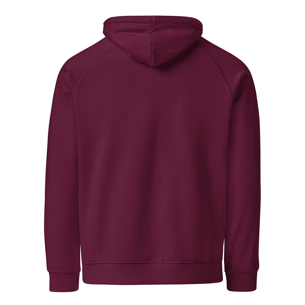Thumbnail: Unisex eco raglan hoodie