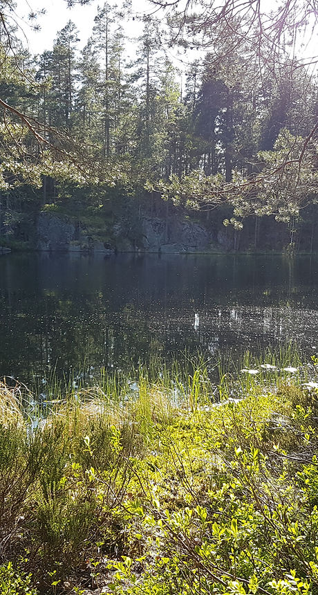 20180519_173157.jpg