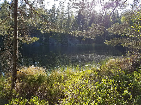 kesäilta