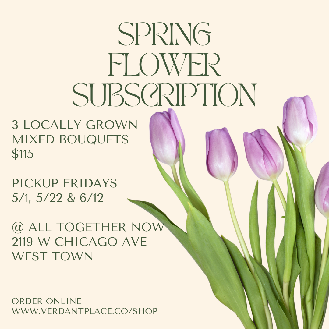 Flower Subscription @ all together now