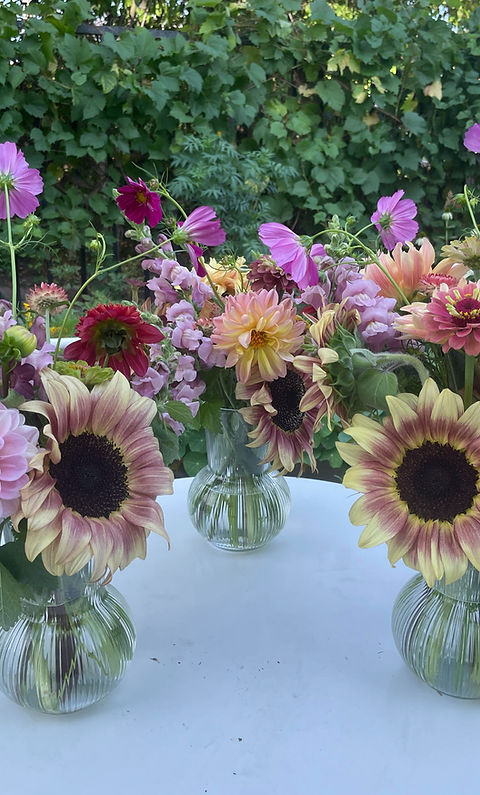 sunflower bouqs_edited.jpg