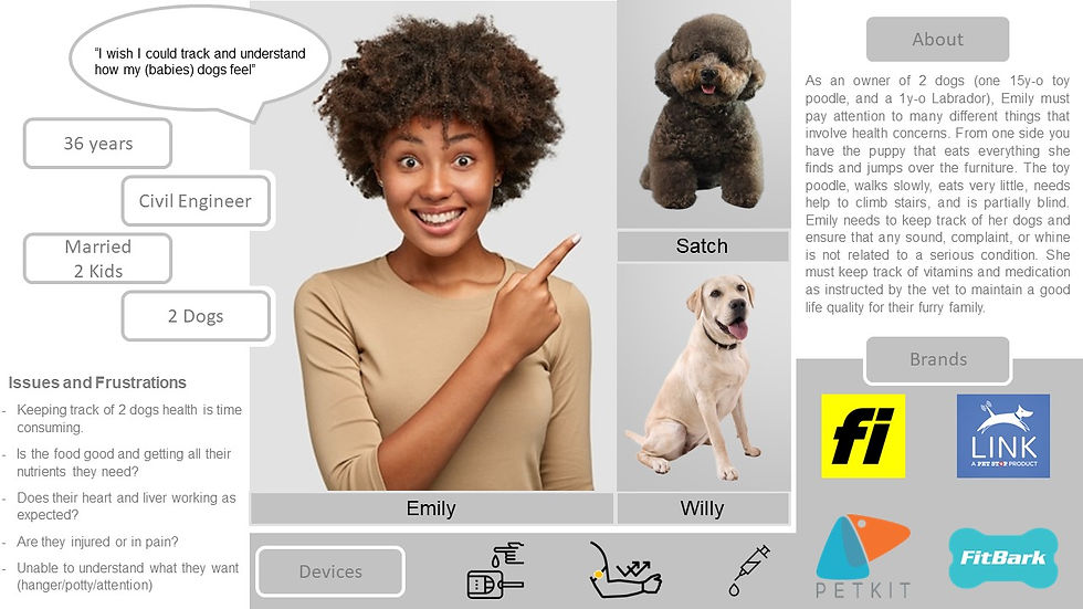 Health pet tracker - Persona