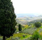 MEDIA - EmiliaRomagna.jpg