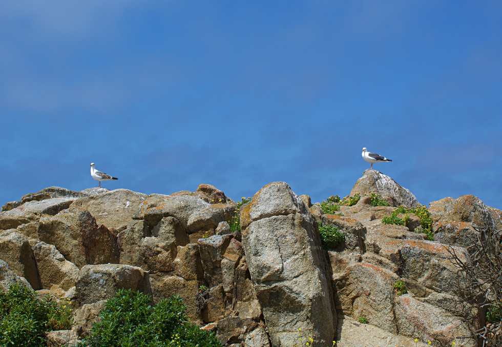 Monterey, California