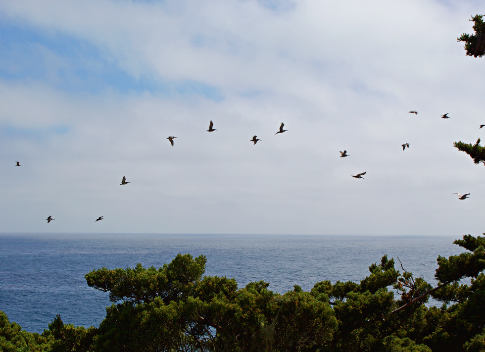 Monterey, California