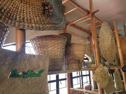 31936783_696580907399937_3926450181356126208_n