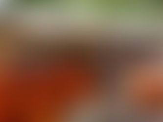 Clean and Green Las Pinas: Household Waste Segregation, Arm Chair Made From Plastic and Vermiculture