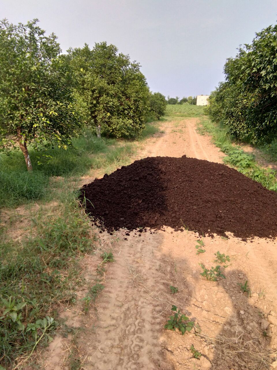 organic manure fertilizer by arc bio fuel barnala punjab