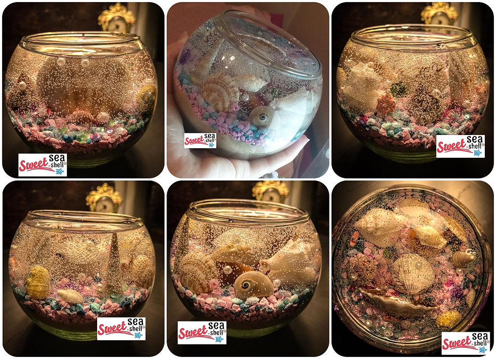Pecera Francisca ($2500)