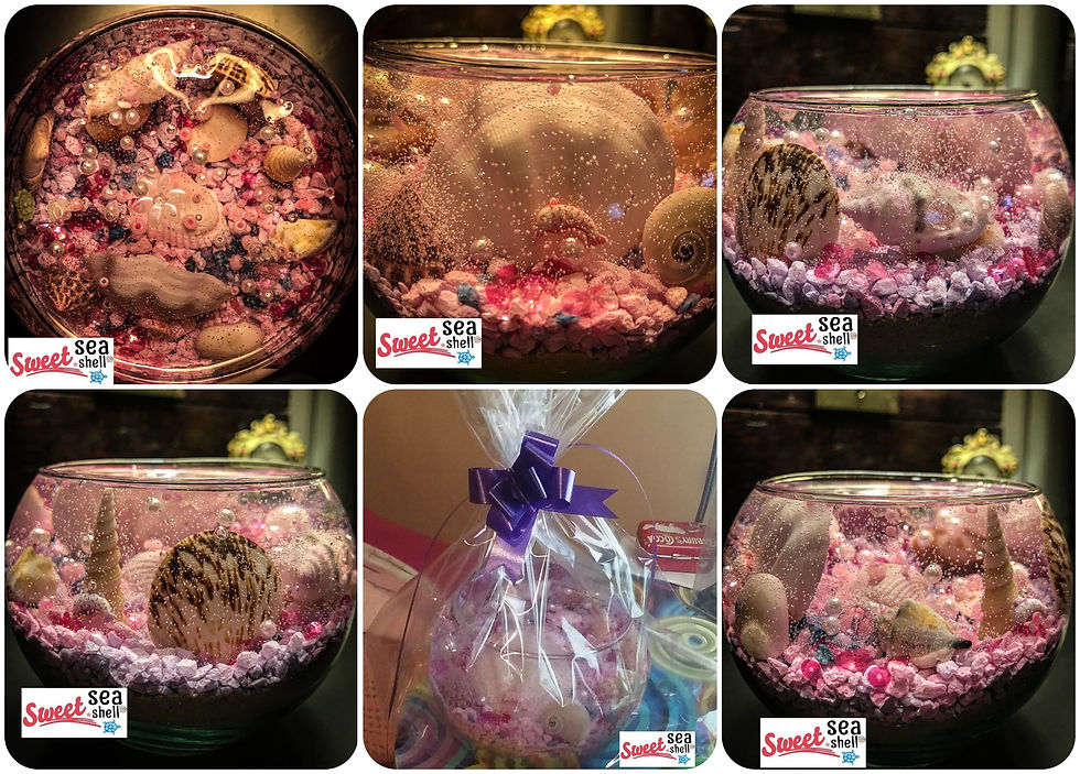 Pecera Shell Beach ($2500)
