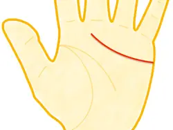 《手相占い》基本線「感情線」の見方③〜直線か曲線かでわかる愛情表現のタイプ〜《迦葉ルカス》