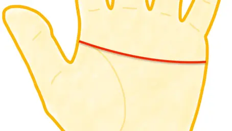 《手相占い》基本線「頭脳線」の見方⑦〜マスカケ線が示す思考と運命の強さ〜《迦葉ルカス》