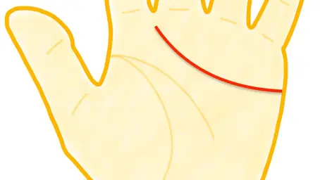 《手相占い》基本線「感情線」の見方①〜感情線の長さが示す愛情の深さ〜《迦葉ルカス》